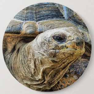 TORTOISE 6 CM ROUND BADGE