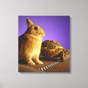 Tortoise and the hare canvas print