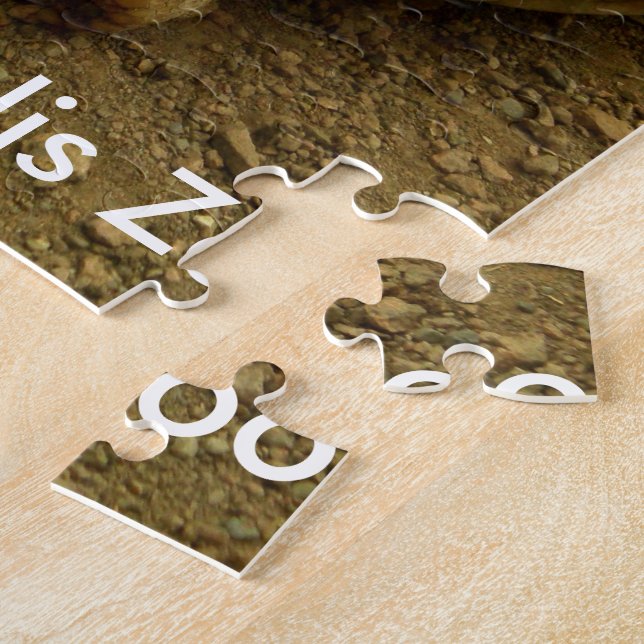 Tortoise at Indianapolis Zoo Jigsaw Puzzle (Side)