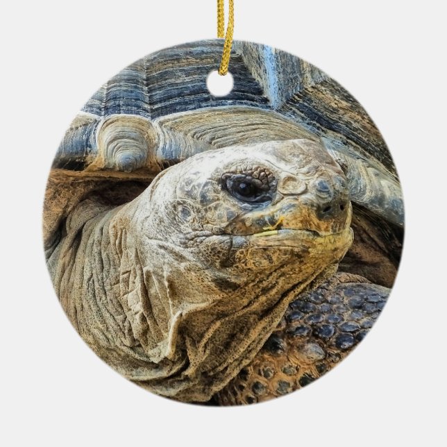 TORTOISE CERAMIC TREE DECORATION (Front)