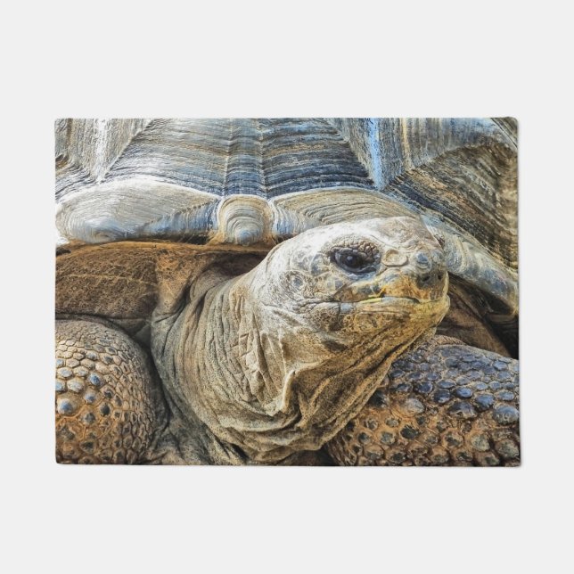 TORTOISE DOORMAT (Front)