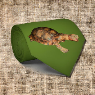 Tortoise in dark olive green Tie