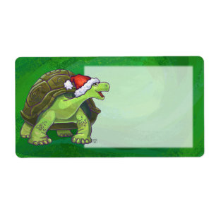 Tortoise in Santa Hat On Green