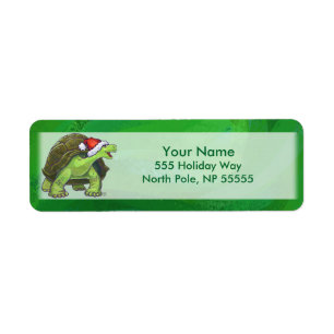 Tortoise in Santa Hat On Green