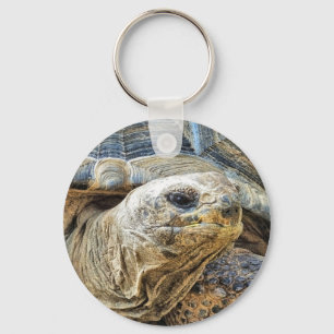 TORTOISE KEY RING