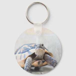 Tortoise Key Ring