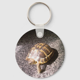 Tortoise Key Ring