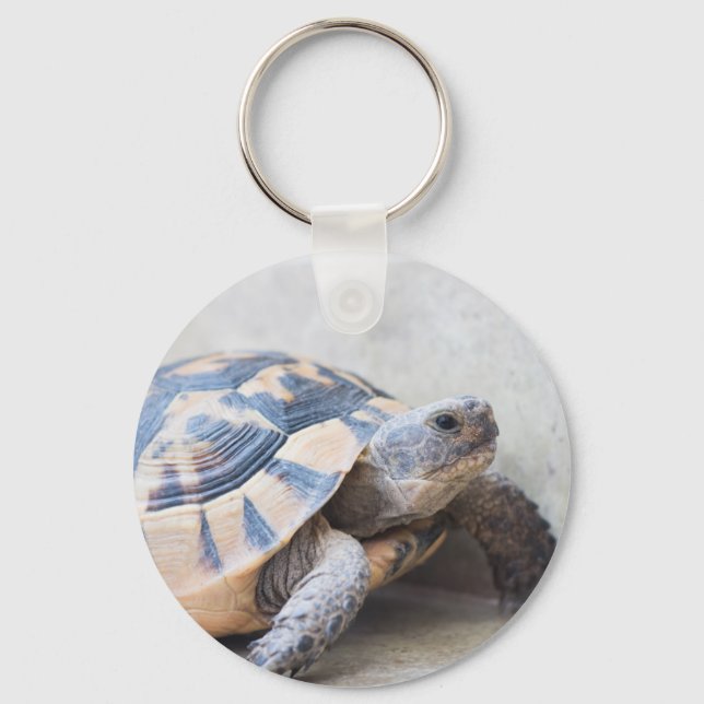 Tortoise Key Ring (Front)