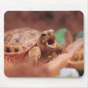 Tortoise Mouse Mat
