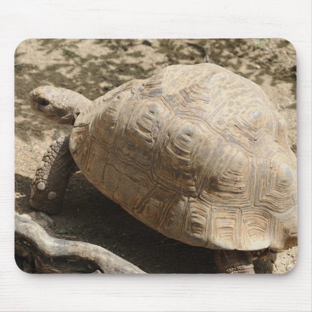 Tortoise Mouse Mat (Front)