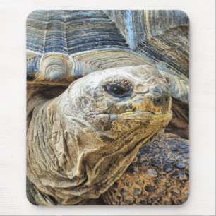 TORTOISE MOUSE MAT