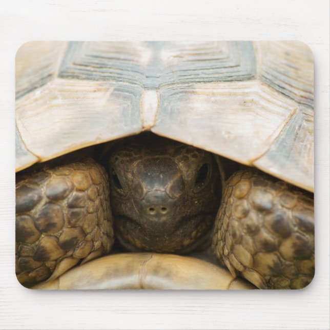 Tortoise Mouse Mat (Front)