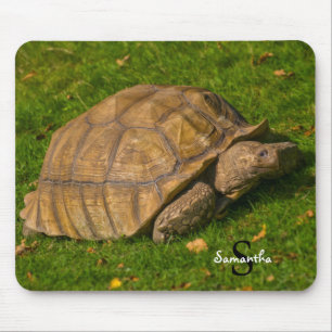 Tortoise Mouse mat