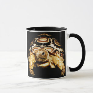 tortoise mug