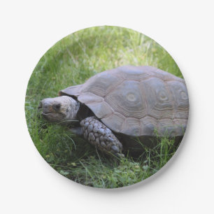 Tortoise Paper Plate