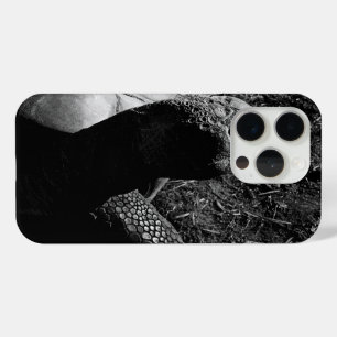 Tortoise Photograph in Black and White iPhone 15 Pro Case