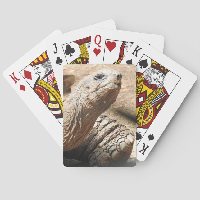 Tortoise Playing Cards (Back)