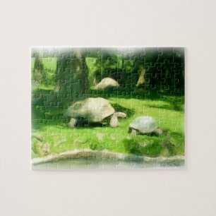 Tortoise Race Jigsaw Puzzle