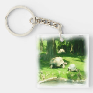 Tortoise Race Key Ring