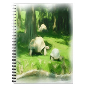 Tortoise Race Notebook