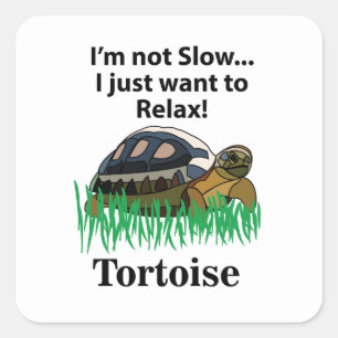 Tortoise Relax Animal Cute Funny Square Sticker