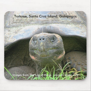 Tortoise, Santa Cruz Island, Galapagos Mouse Mat