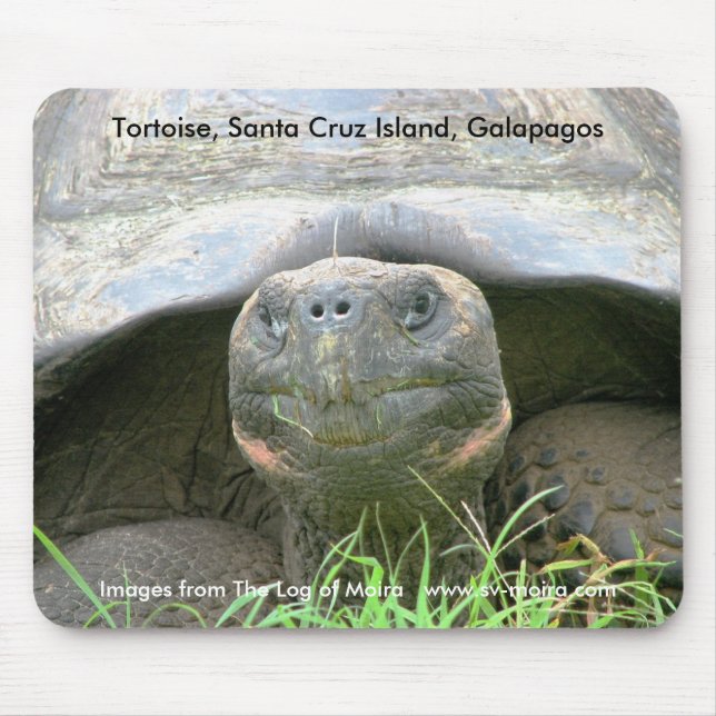 Tortoise, Santa Cruz Island, Galapagos Mouse Mat (Front)
