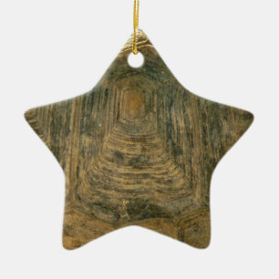 Tortoise Shell Abstract Nature Photo Ceramic Tree Decoration