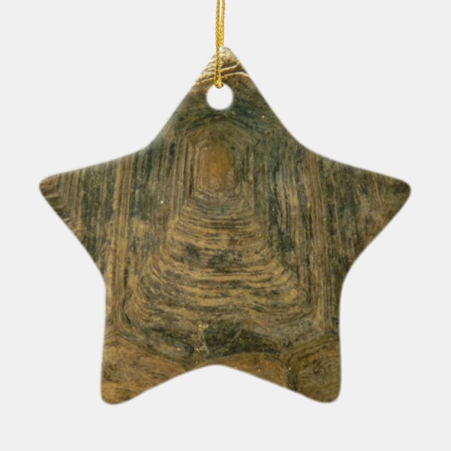 Tortoise Shell Nature Photo Ceramic Tree Decoration (Front)