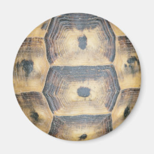 Tortoise Shell Pattern Magnet
