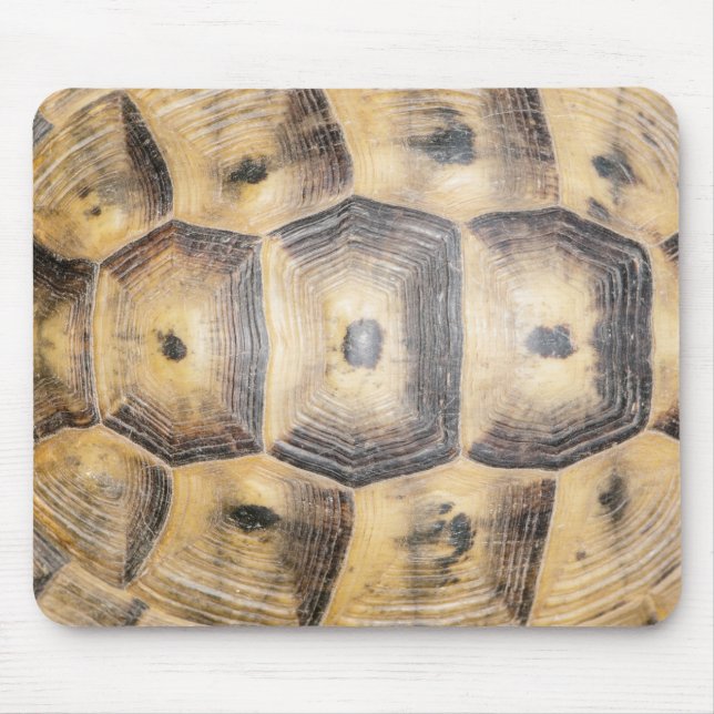 Tortoise shell pattern mouse mat (Front)