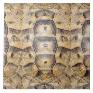 Tortoise shell pattern tile