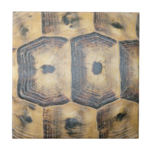 Tortoise Shell Pattern Tile