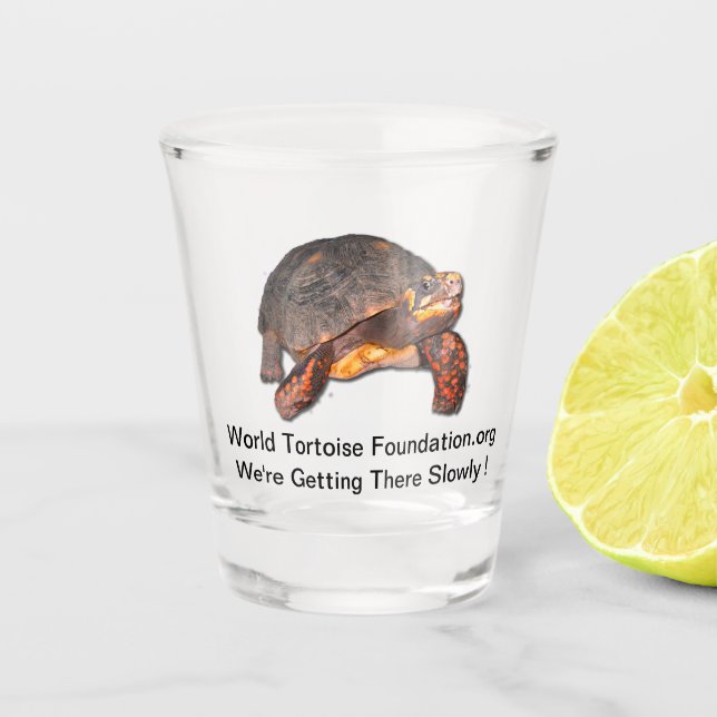 Tortoise Shot Glass (Front)