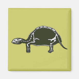 tortoise skeleton magnet