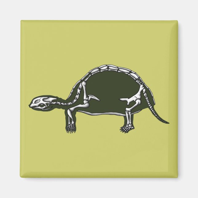 tortoise skeleton magnet (Front)