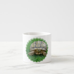 Tortoise Speciality Mug