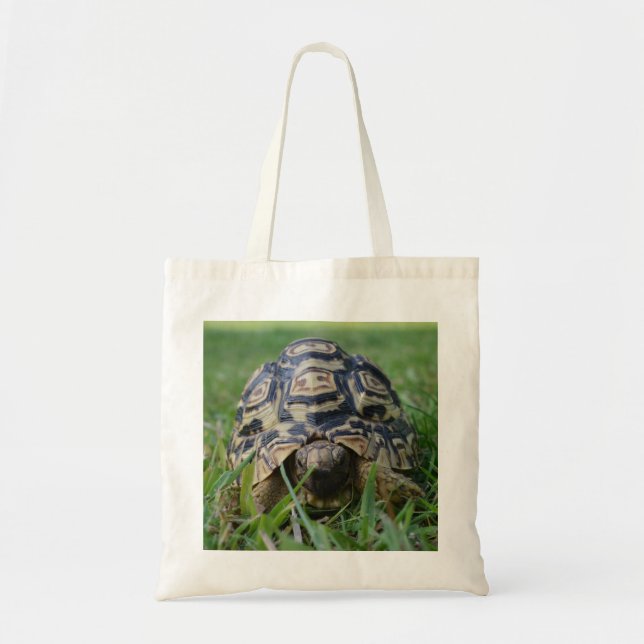 Tortoise Tote Bag (Front)