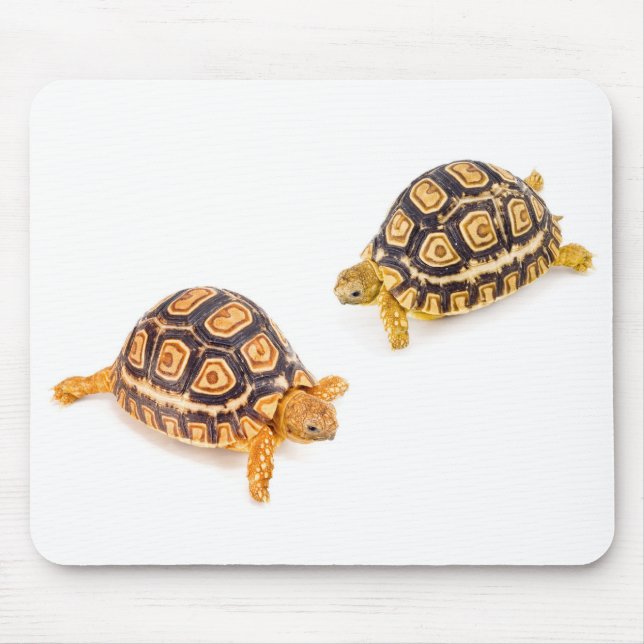 Tortoises Meeting Mouse Mat (Front)