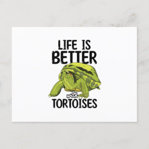 Tortoises Postcard
