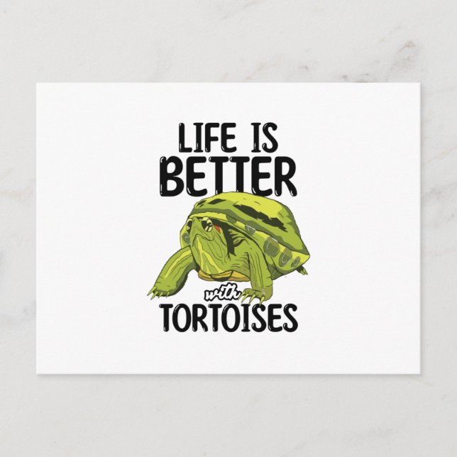 Tortoises Postcard (Front)