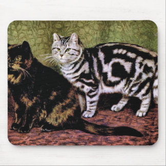Tortoiseshell and Silver Tabby Cats Mouse Mat