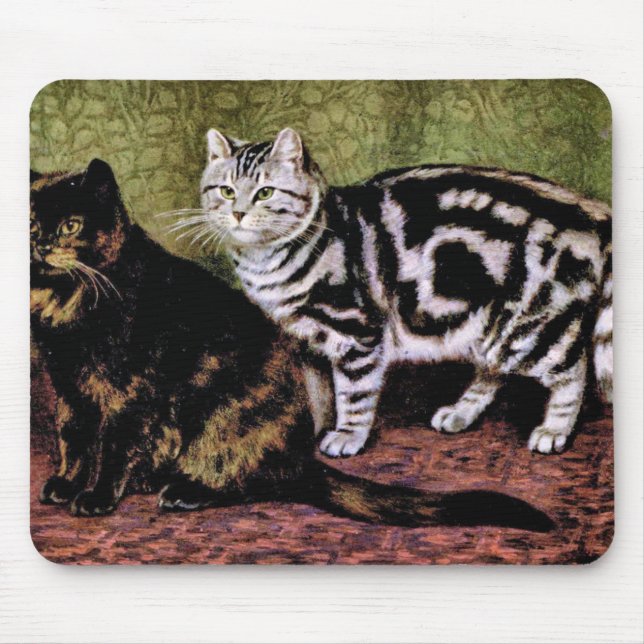 Tortoiseshell and Silver Tabby Cats Mouse Mat (Front)