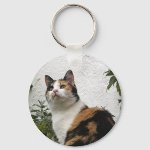 Tortoiseshell and White Cat Key Ring