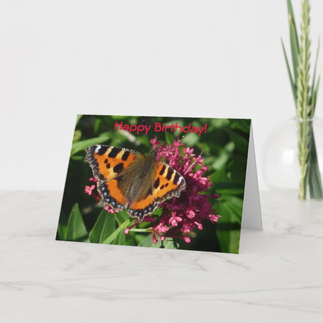 Tortoiseshell Butterfly Card (Front)