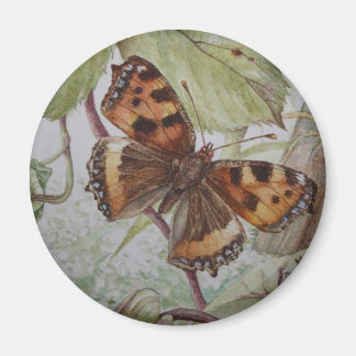 Tortoiseshell butterfly magnet