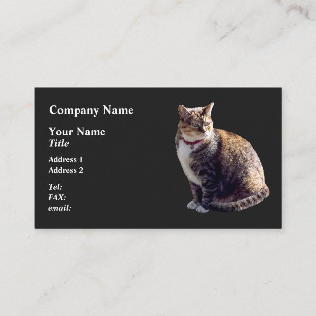 Tortoiseshell Cat Business Card (Front)