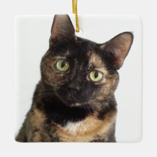 Tortoiseshell Cat Ceramic Ornament