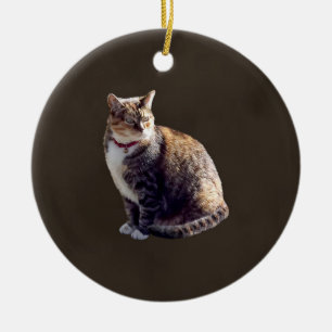 Tortoiseshell Cat Ceramic Tree Decoration