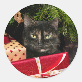 Tortoiseshell cat Christmas Classic Round Sticker
